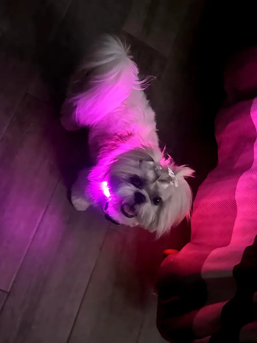 Collar luz led con carga USB