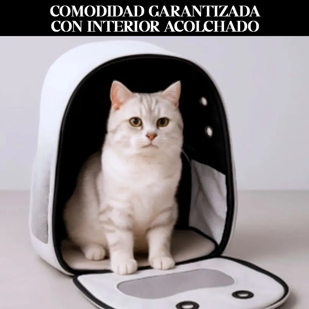 Mochila transporte mascota