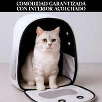Mochila transporte mascota