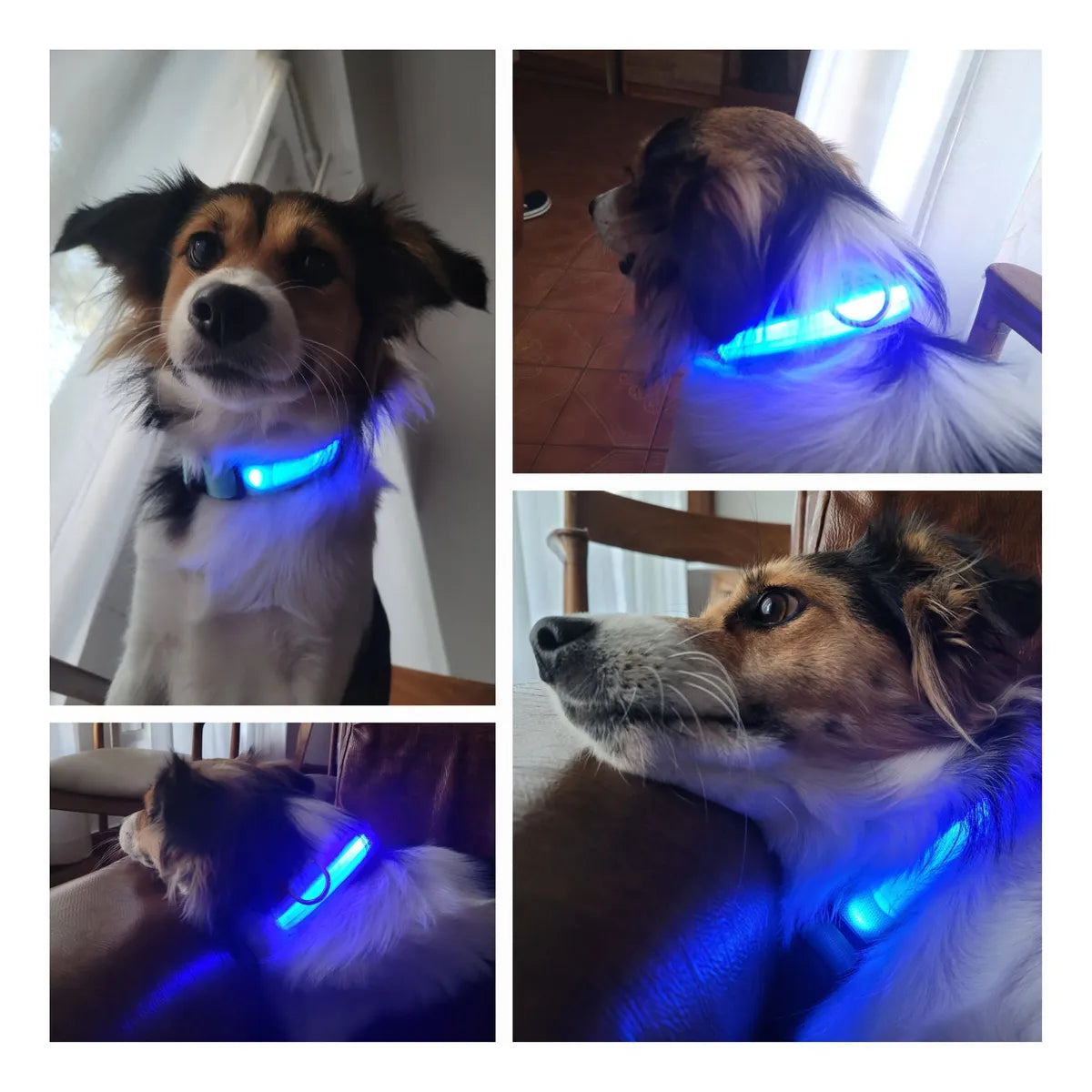 Collar luz led con carga USB