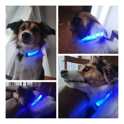 Collar luz led con carga USB