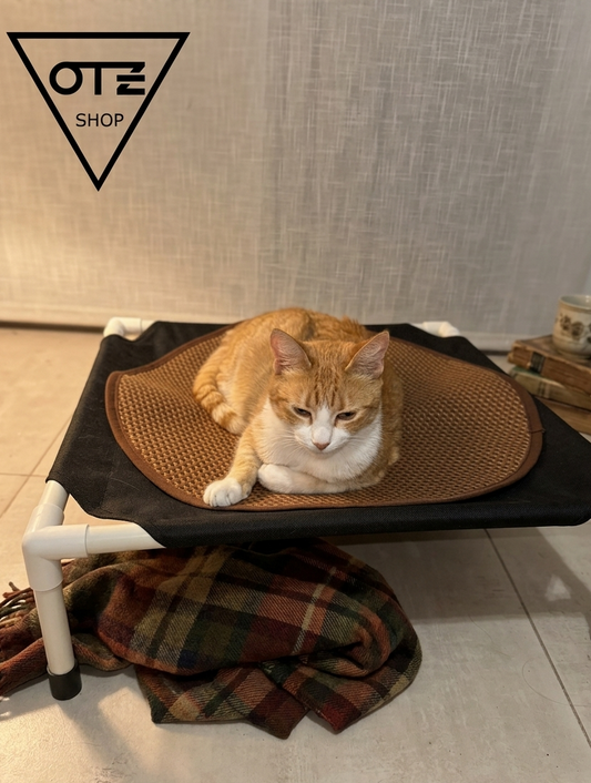 Cama elevada para mascota CHICA