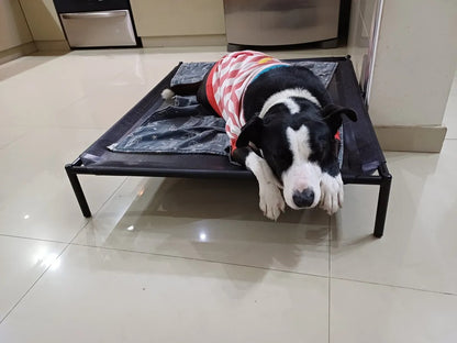 Cama elevada para mascota GRANDE